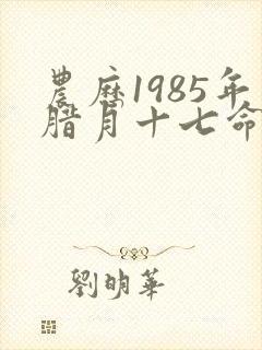 农历1985年腊月十七命运如何