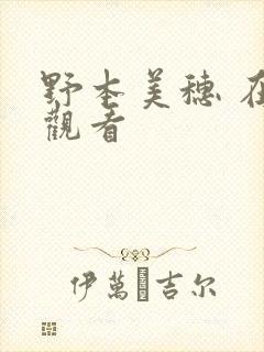 野本美穗 在线观看封面