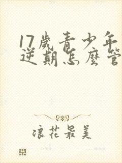 17岁青少年叛逆期怎么管教最合适男孩