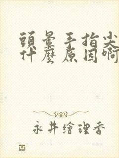 头晕手指尖麻是什么原因啊