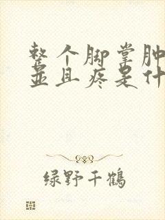 整个脚掌肿起来并且疼是什么原因