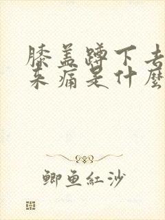 膝盖蹲下去站起来痛是什么原因