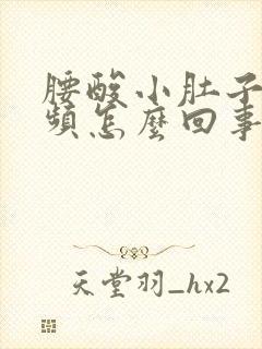 腰酸小肚子疼尿频怎么回事