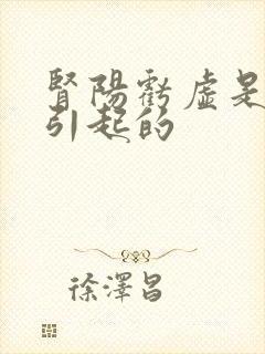 肾阳亏虚是怎么引起的