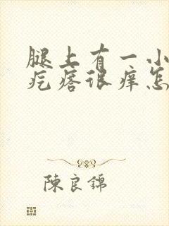 腿上有一小片红疙瘩很痒怎么回事封面