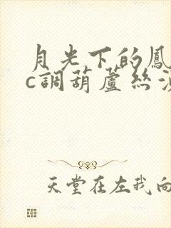 月光下的凤尾竹c调葫芦丝演奏封面