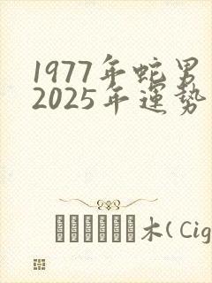 1977年蛇男2025年运势及运程封面