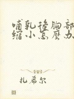 哺乳后胸部下垂缩小怎么办封面