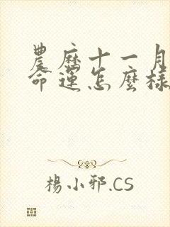 农历十一月的蛇命运怎么样