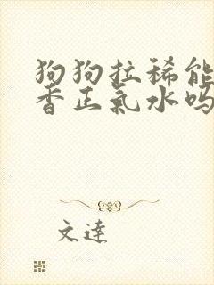 狗狗拉稀能吃藿香正气水吗