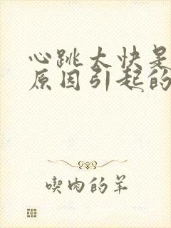 心跳太快是什么原因引起的