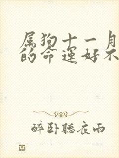 属狗十一月出生的命运好不好