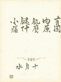 小腿肌肉有点酸痛什么原因