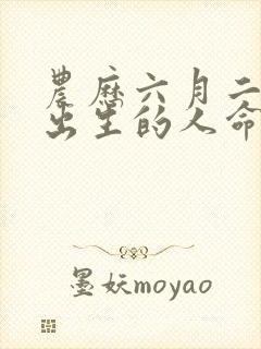 农历六月二十四出生的人命运封面