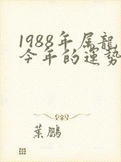 1988年属龙今年的运势怎么样