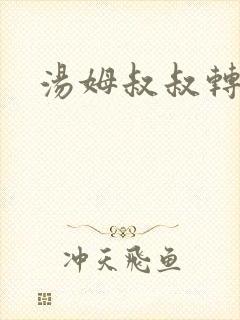 汤姆叔叔转接口