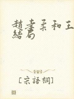 赵孝柔和王光明结局封面