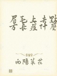 眉毛上去点的地方长痘什么原因封面