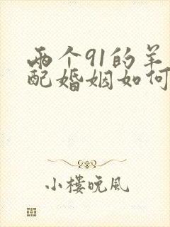 两个91的羊相配婚姻如何