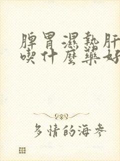 脾胃湿热肝火旺吃什么药好