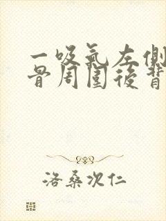 一吸气左侧肩胛骨周围后背里面疼