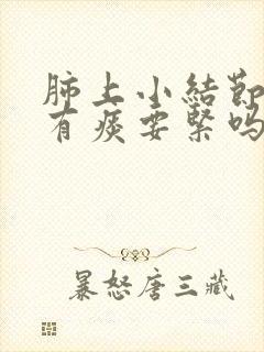 肺上小结节咳嗽有痰要紧吗封面