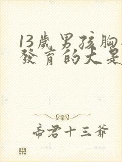 13岁男孩胸部发育的大是怎么办