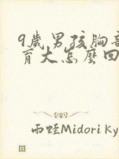 9岁男孩胸部发育大怎么回事