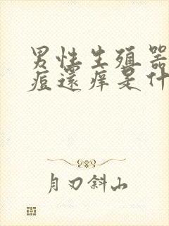 男性生殖器长痘痘还痒是什么原因封面