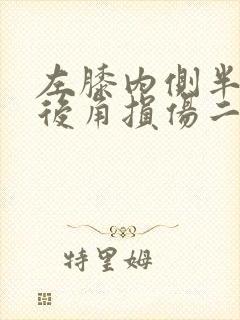 左膝内侧半月板后角损伤二度