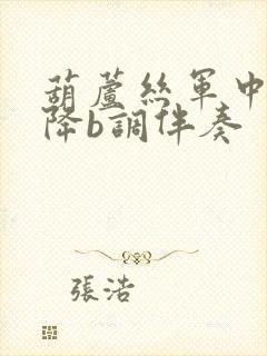 葫芦丝军中绿花降b调伴奏