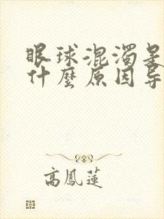 眼球混浊是因为什么原因导致的视力模糊