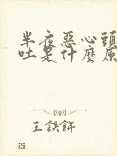 半夜恶心头晕想吐是什么原因引起的