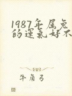 1987年属兔的运气好不好封面