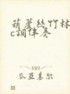 葫芦丝竹林深处c调伴奏