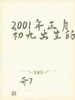2001年正月初九出生的男孩命好不好封面