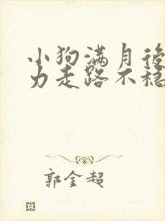 小狗满月后腿无力走路不稳