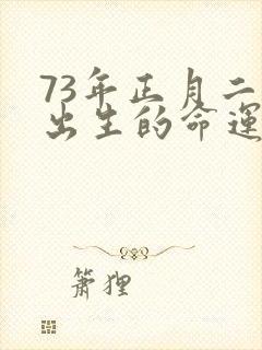 73年正月二十出生的命运如何