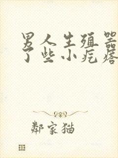 男人生殖器上长了些小疙瘩怎么回事啊