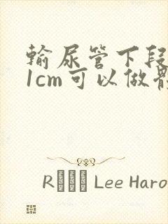 输尿管下段结石1cm可以做体外碎石吗