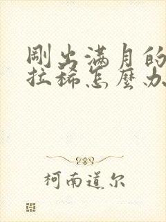 刚出满月的小狗拉稀怎么办