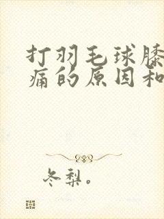 打羽毛球膝盖疼痛的原因和治疗方法封面