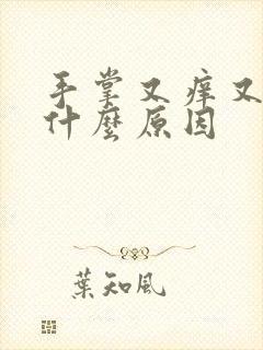 手掌又痒又痛是什么原因