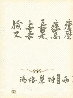 脸上长痤疮好了又长是怎么回事