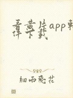 看黄片app软件下载封面