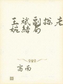 王斌副总老婆林婉结局