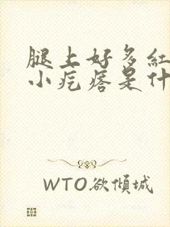 腿上好多红色的小疙瘩是什么