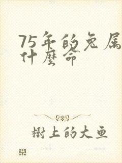 75年的兔属于什么命