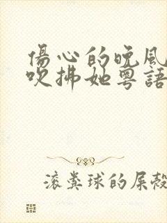 伤心的晚风不准吹拂她粤语歌