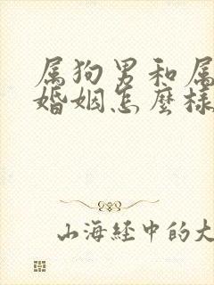 属狗男和属牛女婚姻怎么样